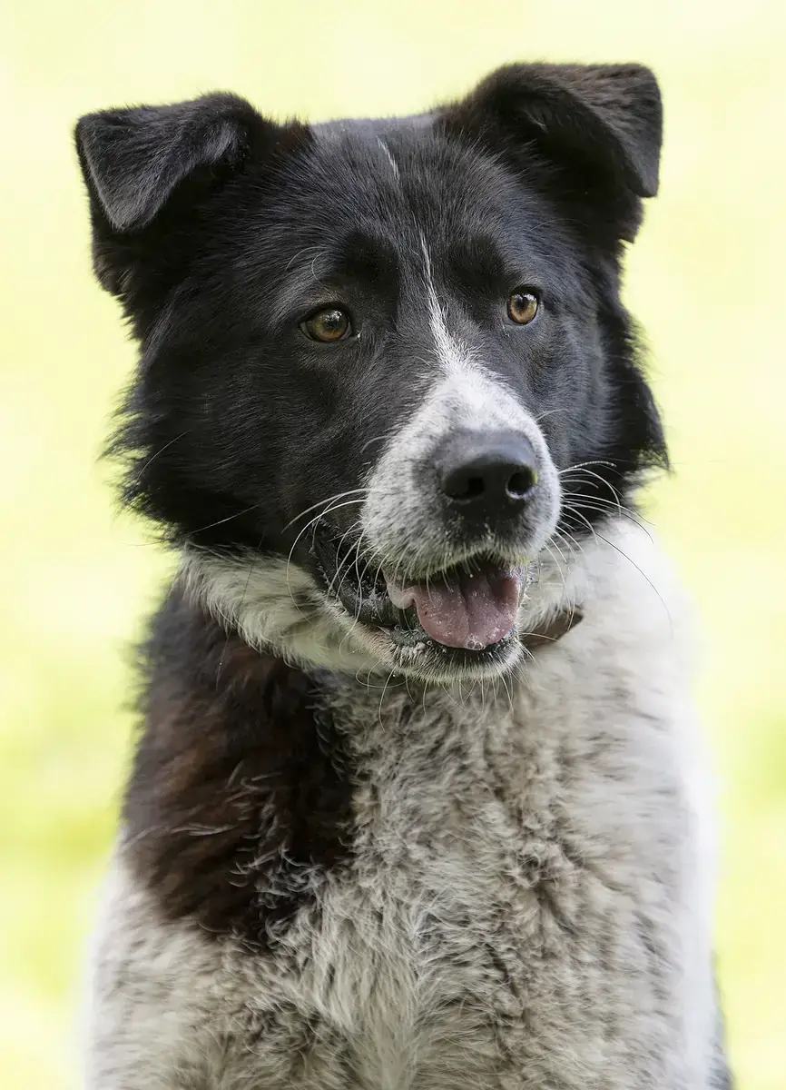 Dieter -  - Bild 2