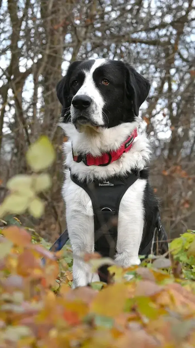 Sammy -  - Bild 10