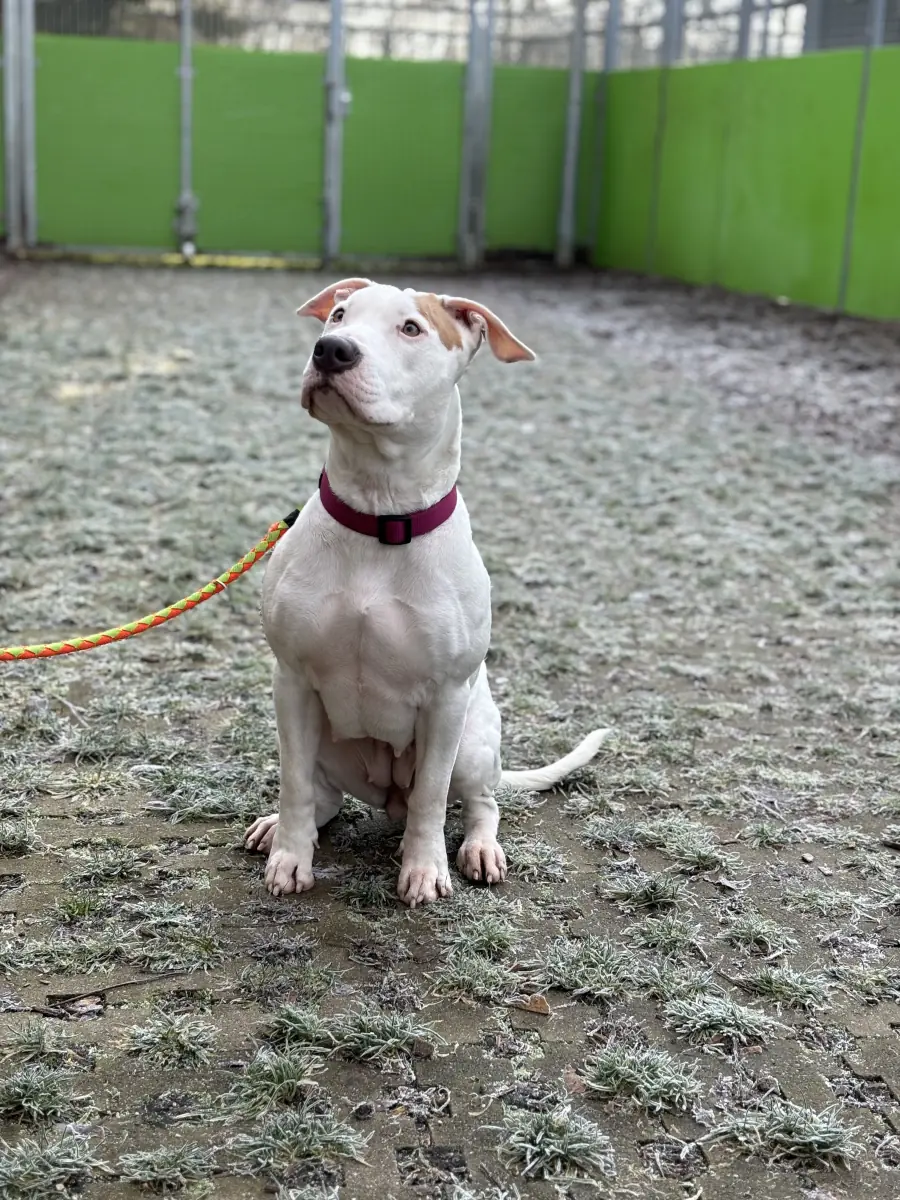 Leyla -  - Bild 14