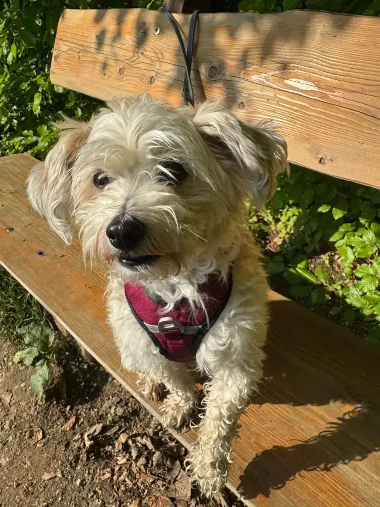 Lucie -  - Bild 2