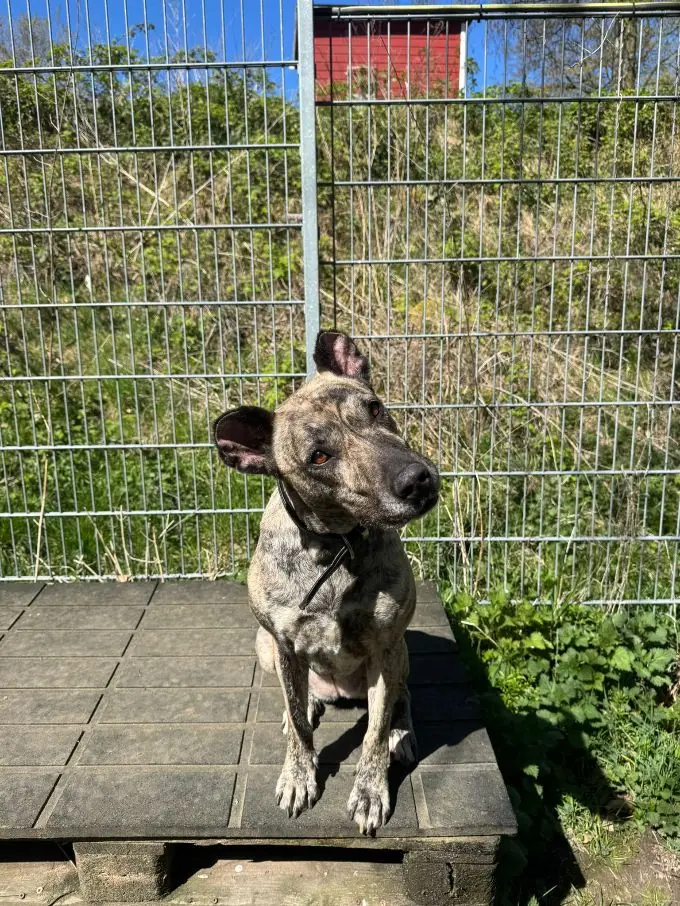 Ebby -  - Bild 1