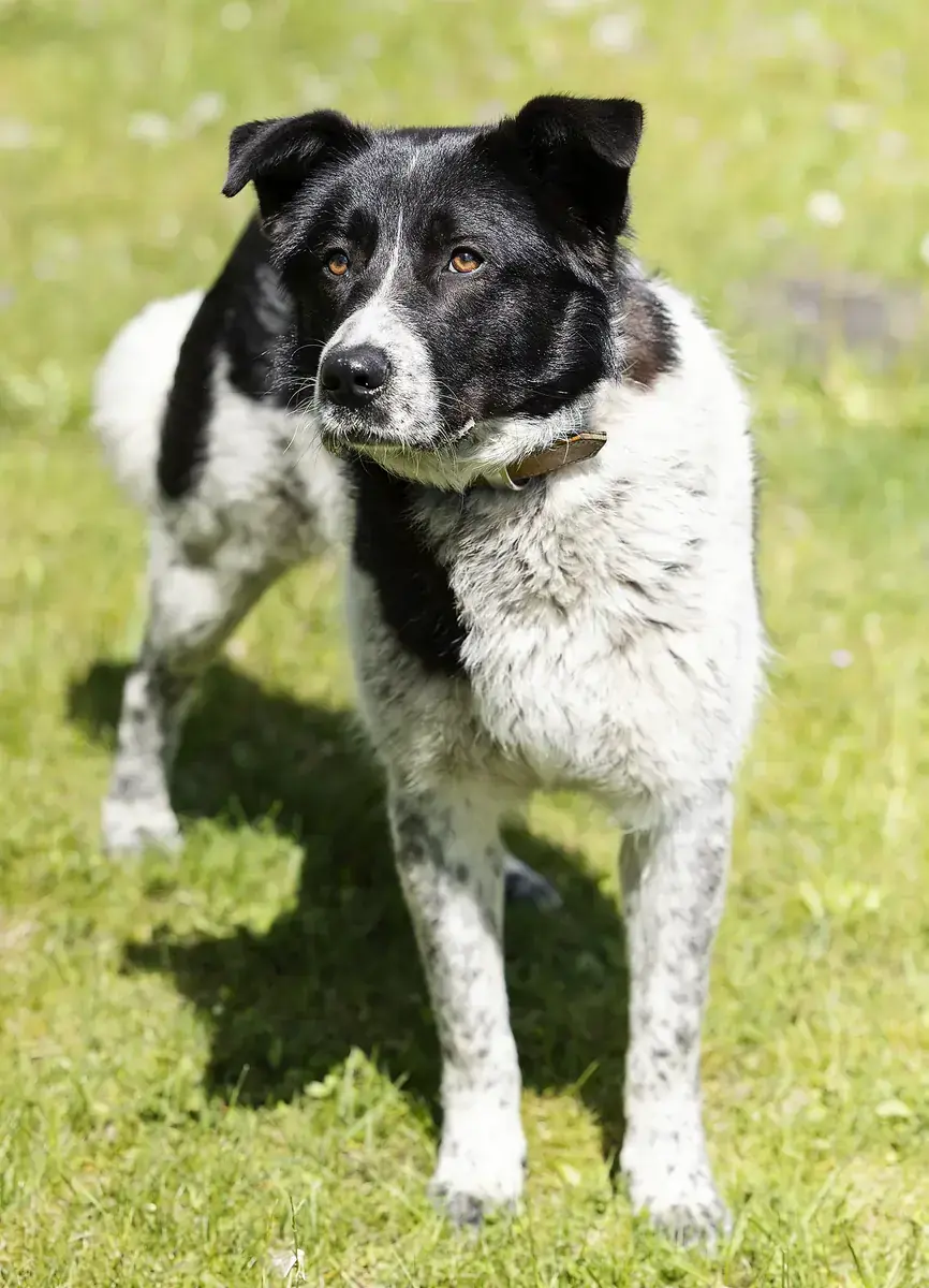 Dieter -  - Bild 4