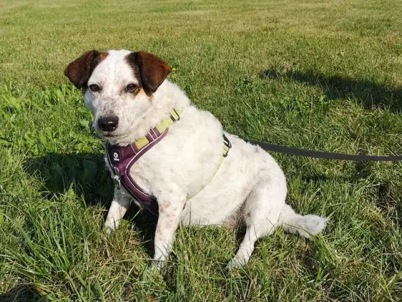 Betty -  - Bild 10