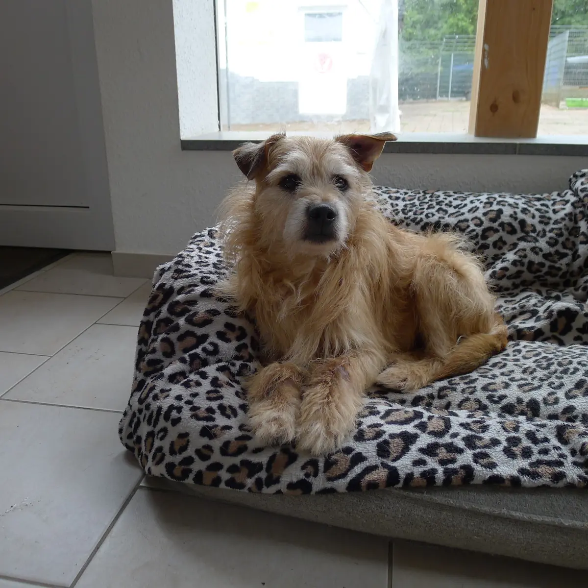 Mika -  - Bild 1