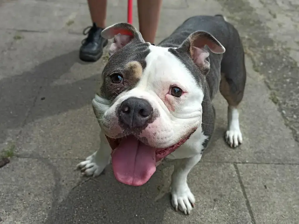 Lala -  - Bild 1