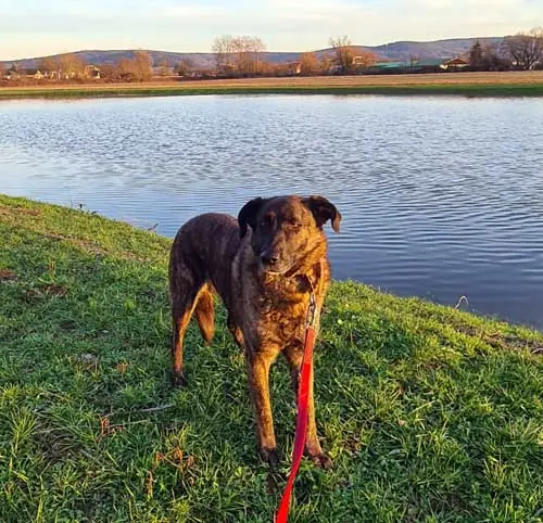 Lua -  - Bild 5