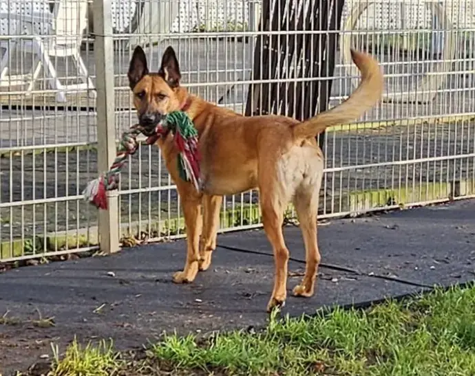 Kaya -  - Bild 1