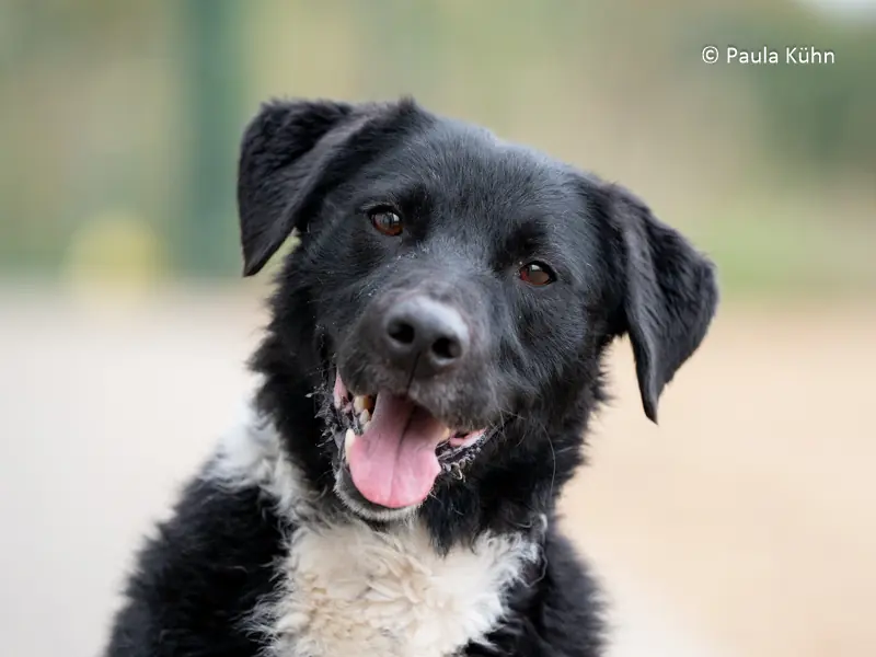 Spike -  - Bild 2
