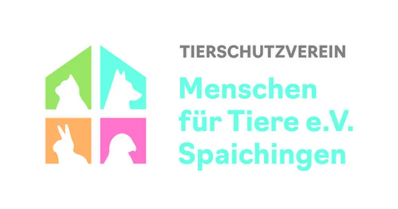 Elly -  - Bild 5