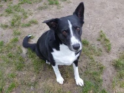 Maja -  - Bild 7