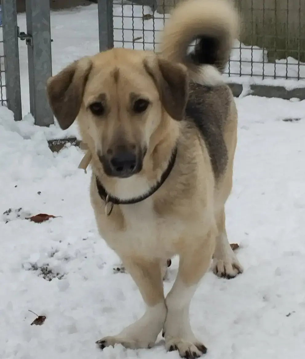 Mascha -  - Bild 1