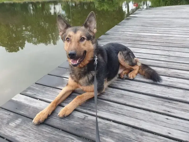 Lando -  - Bild 25