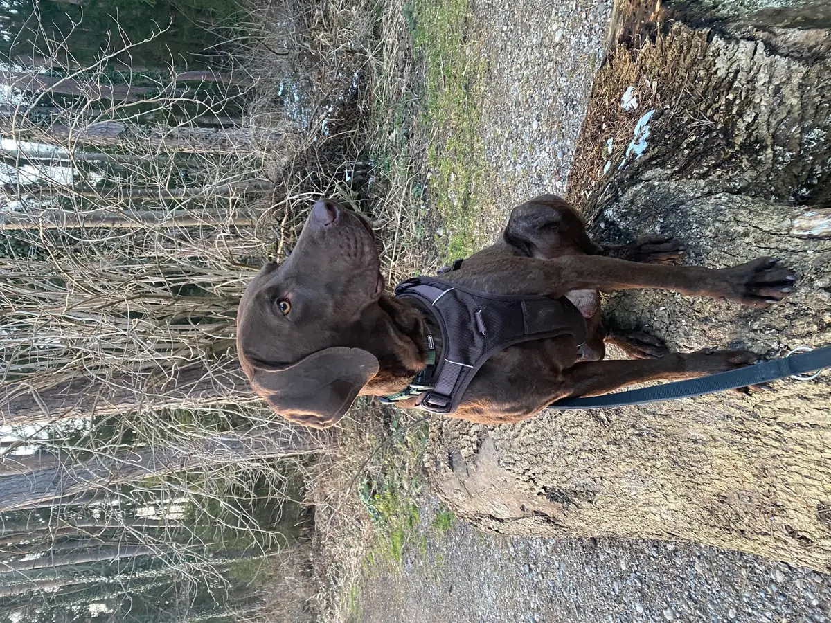 Watson -  - Bild 9