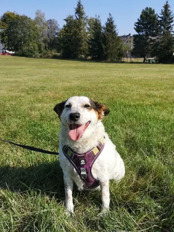 Betty -  - Bild 3