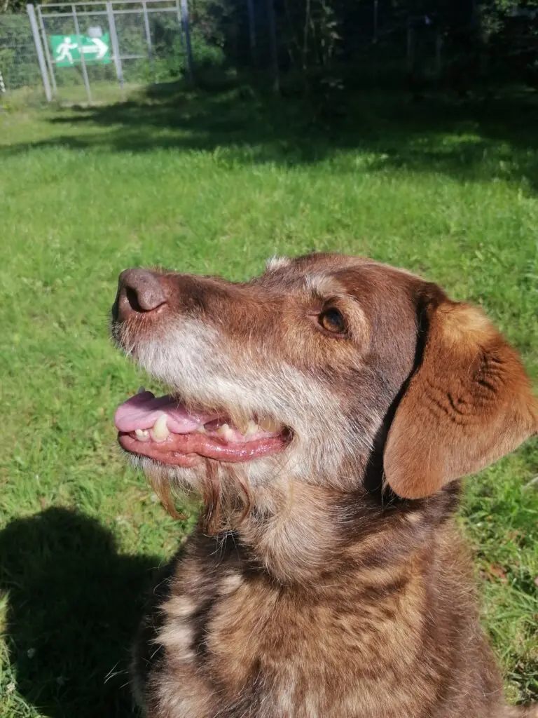 Max -  - Bild 11