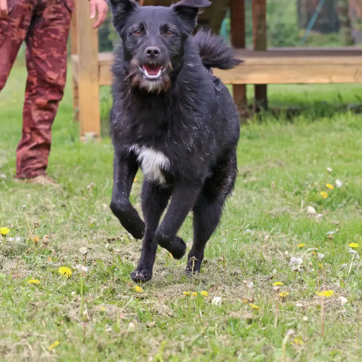 Gerda -  - Bild 3