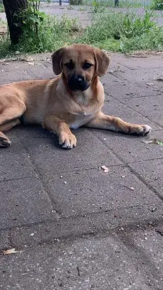 Billy -  - Bild 4