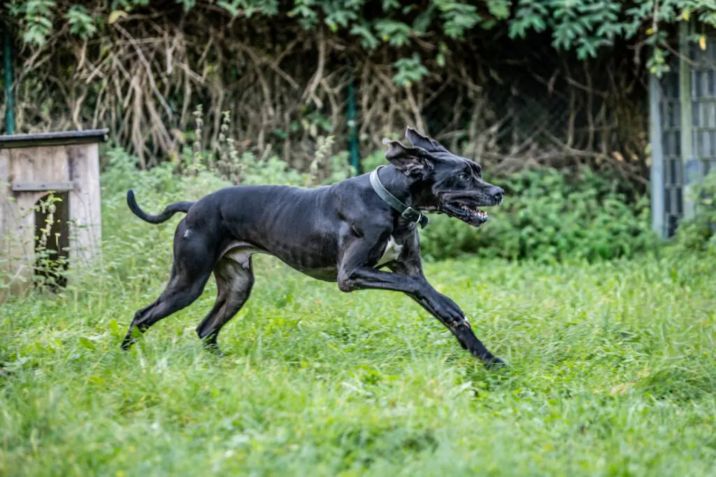 Lothar -  - Bild 4