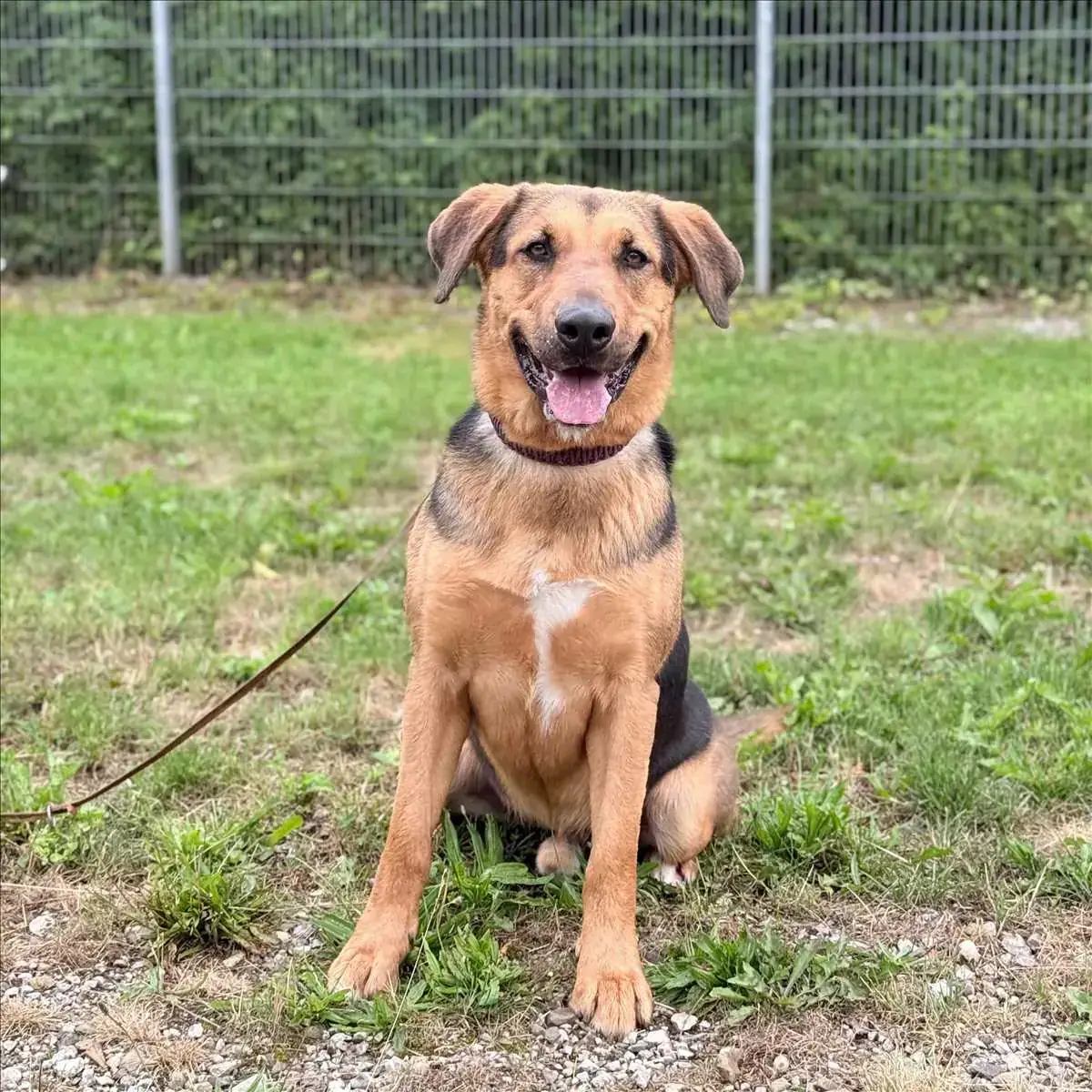 Mix MILO