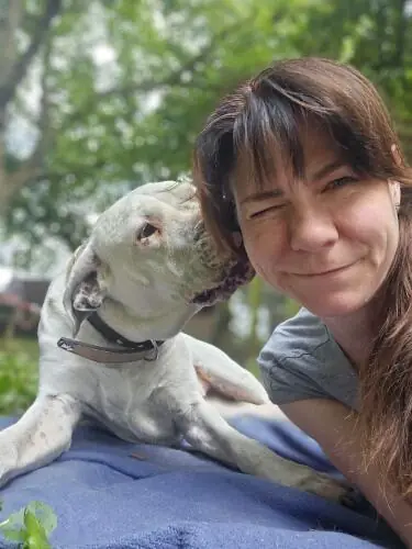 Margo - Dogo Argentino - Bild 7
