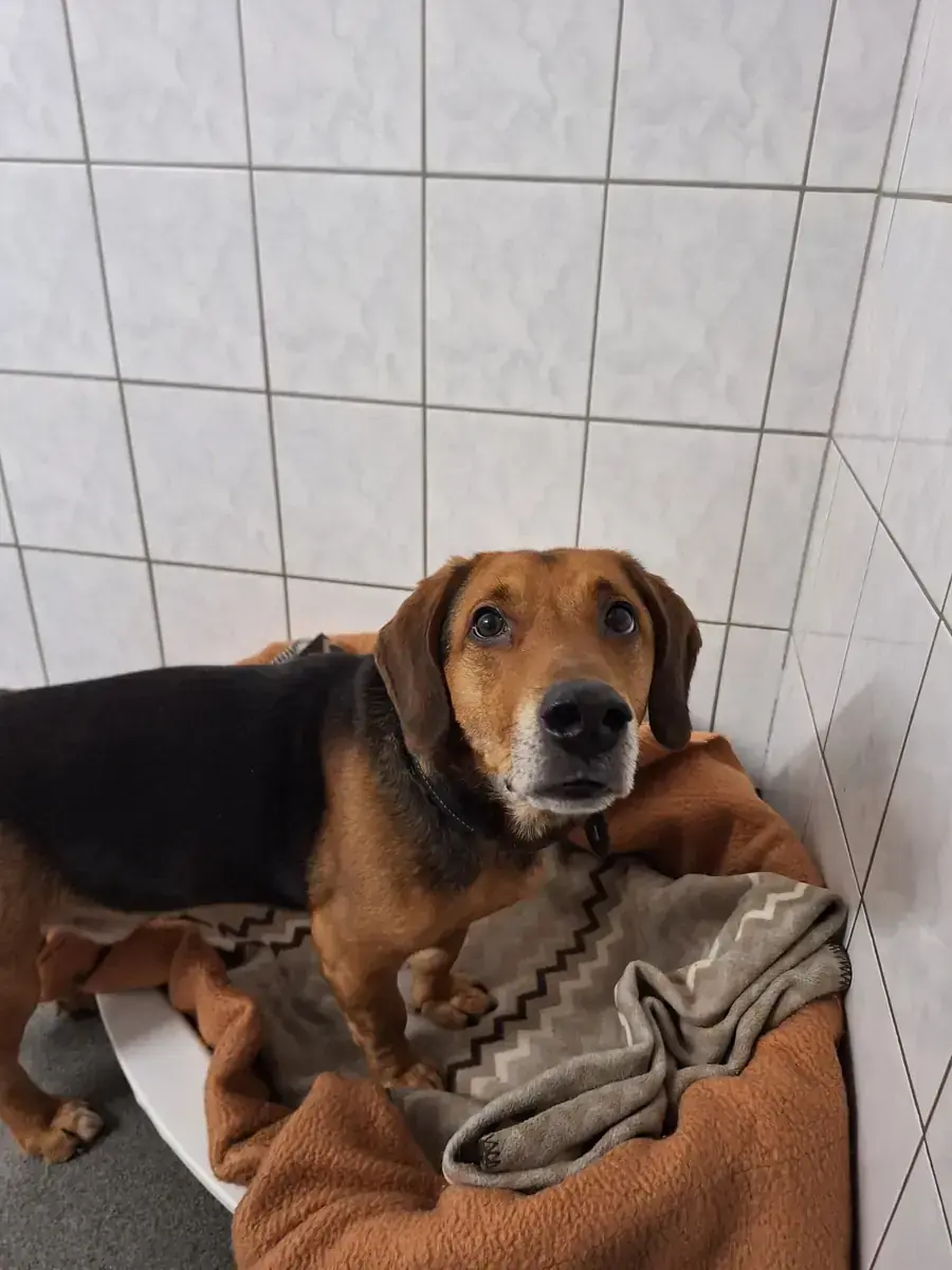 Fred -  - Bild 4