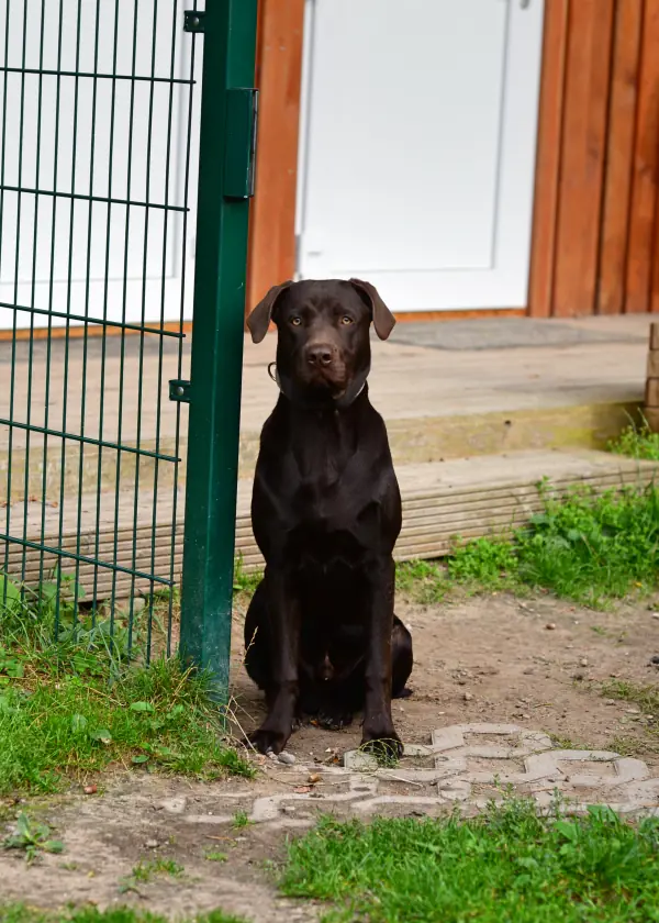 Monte -  - Bild 12