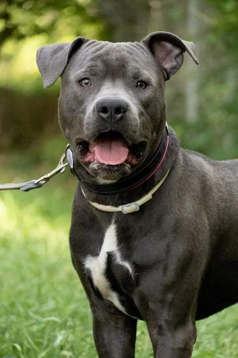 Loui -  - Bild 4