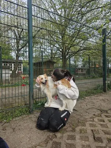 Monty -  - Bild 4