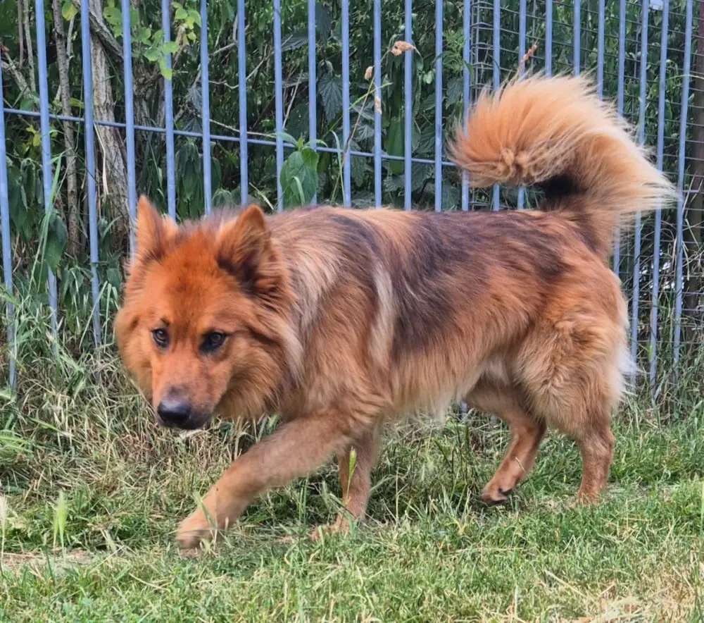 Fred -  - Bild 1