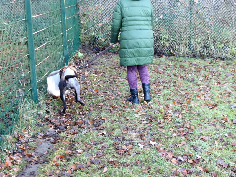 Monte -  - Bild 15