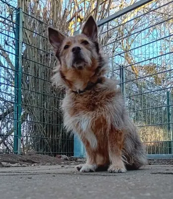 Zarina -  - Bild 2
