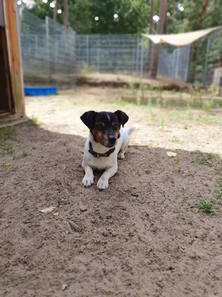 Max -  - Bild 4