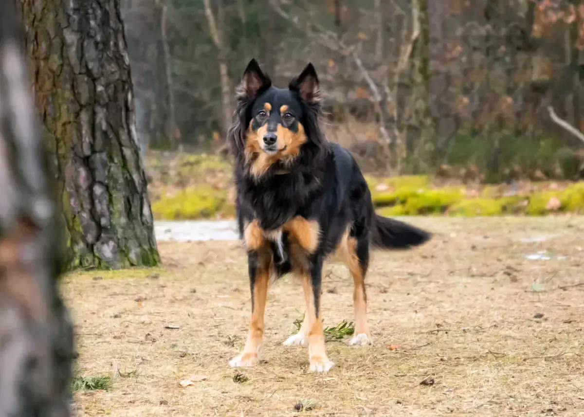 Luna -  - Bild 2