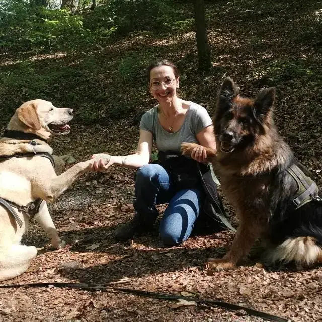 Bonnie - Deutscher Schäferhund - Bild 2