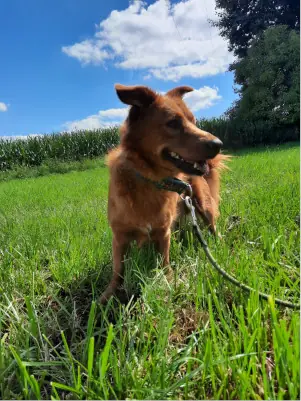 Tassilo -  - Bild 4