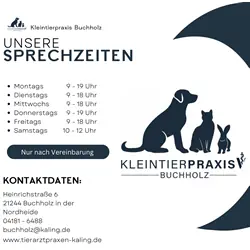 Schmolly -  - Bild 5