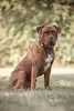 Alfi -  - Bild 5