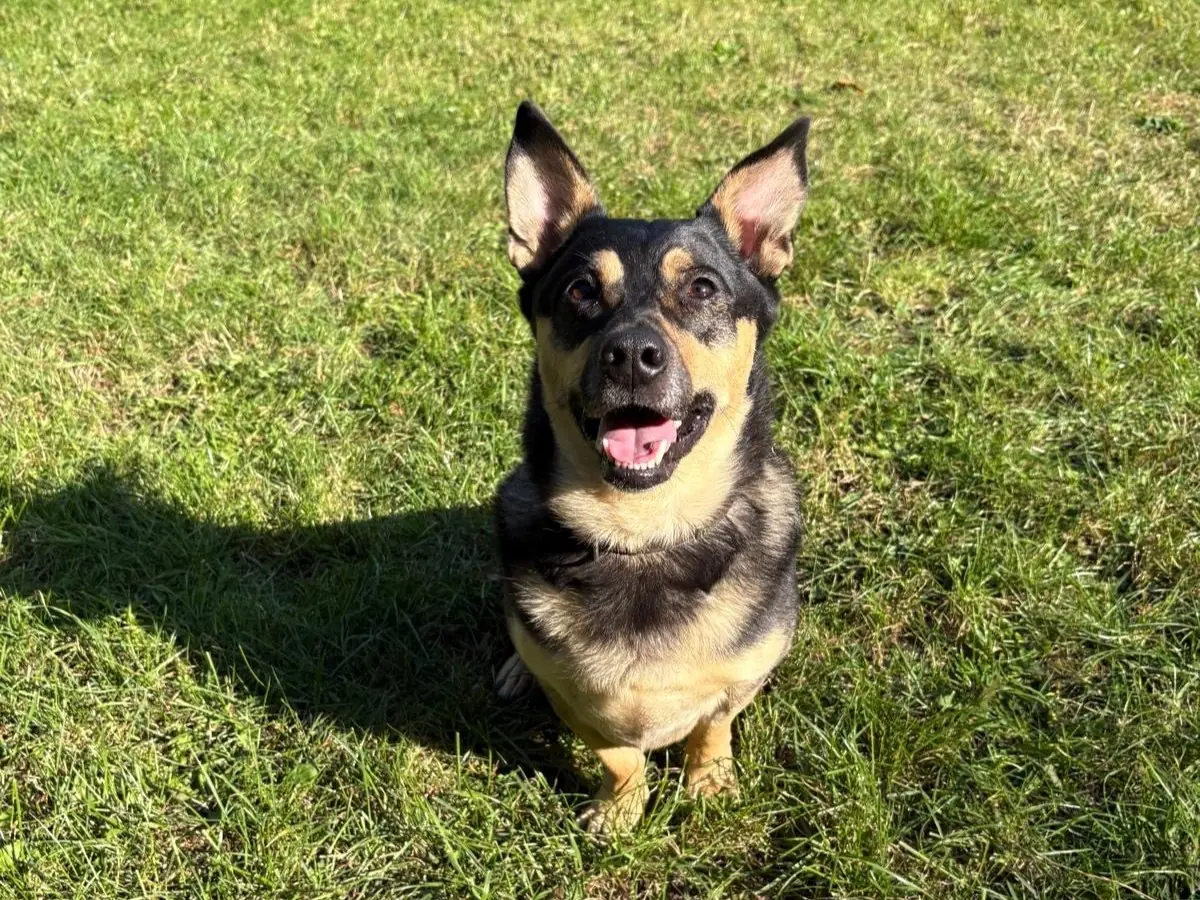 Rocky -  - Bild 2