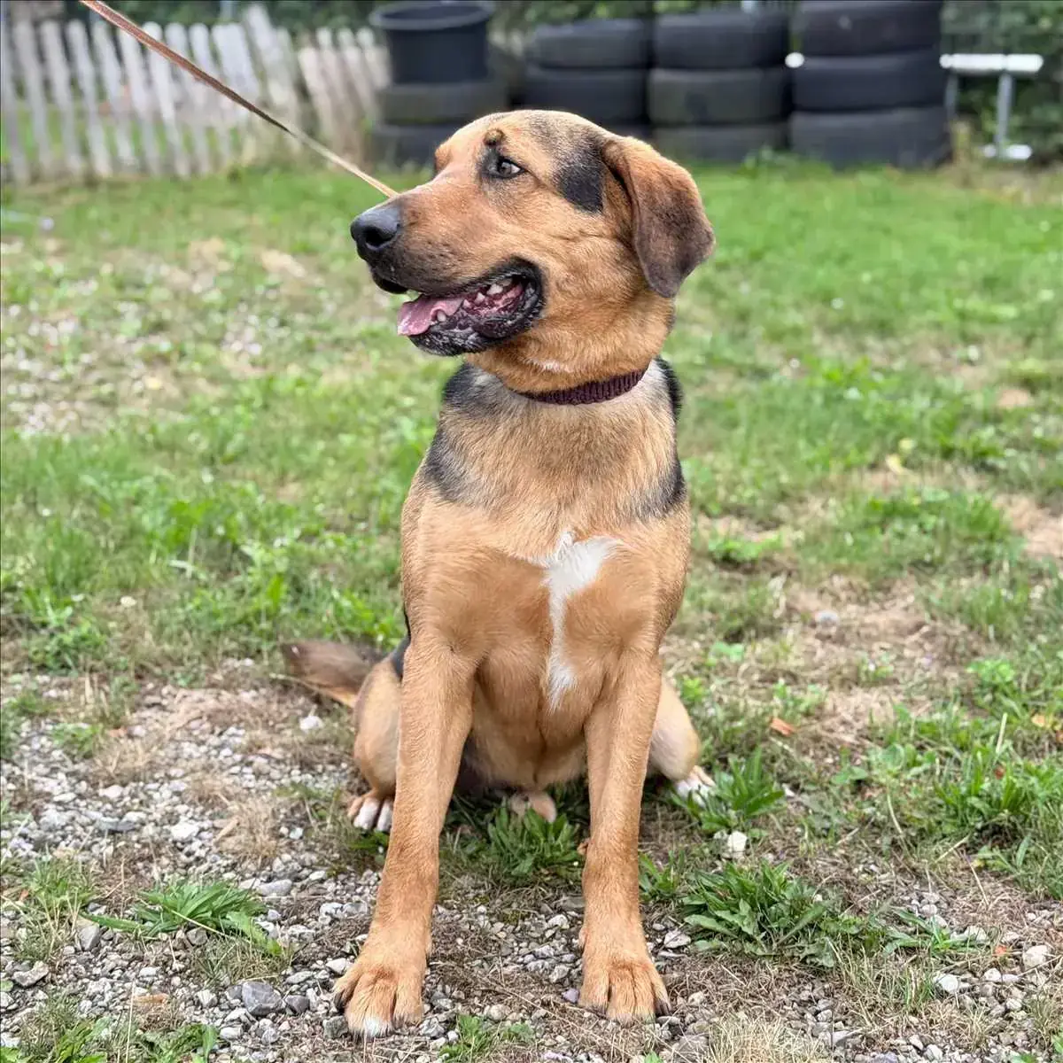 MILO -  - Bild 2