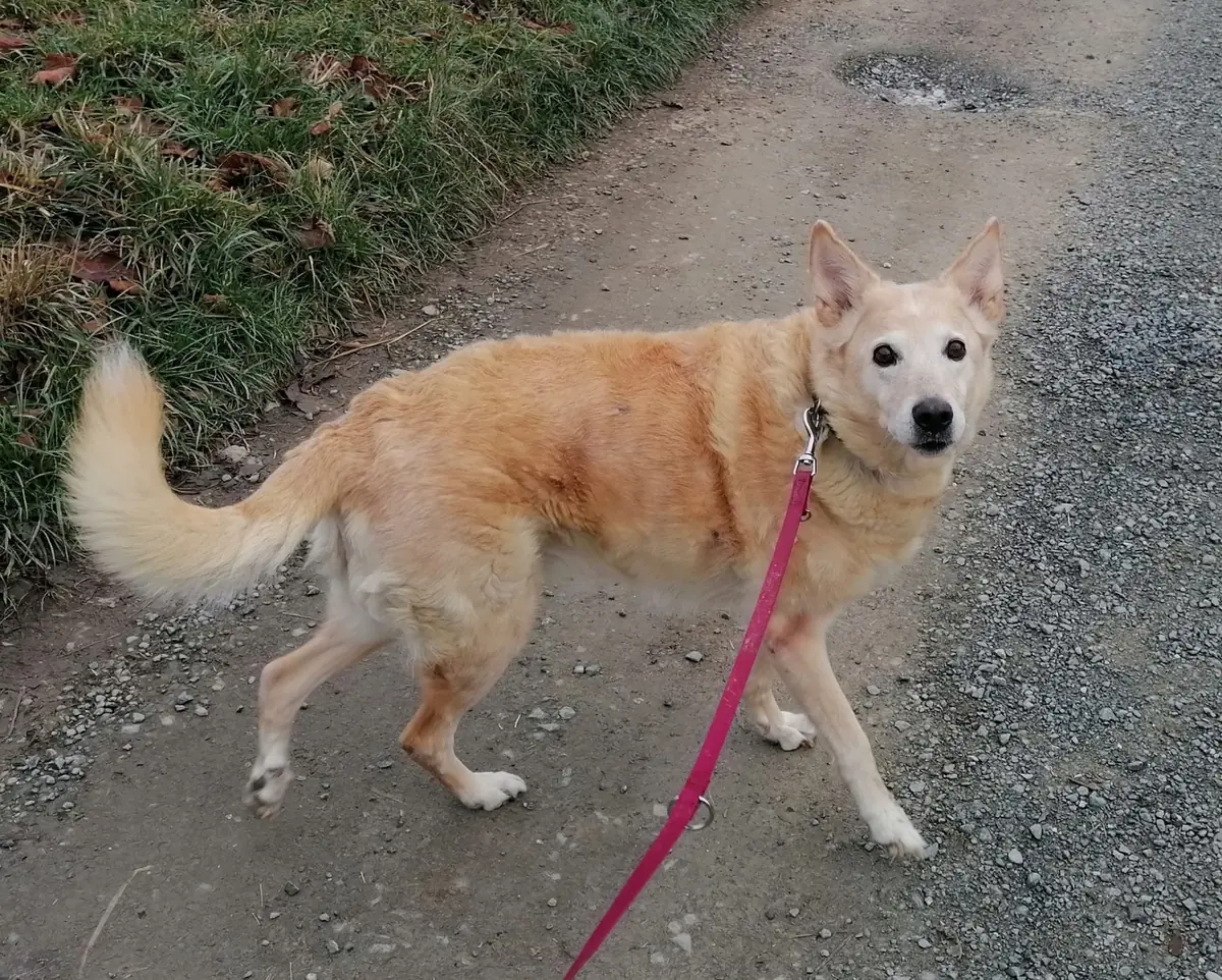 Winni -  - Bild 2