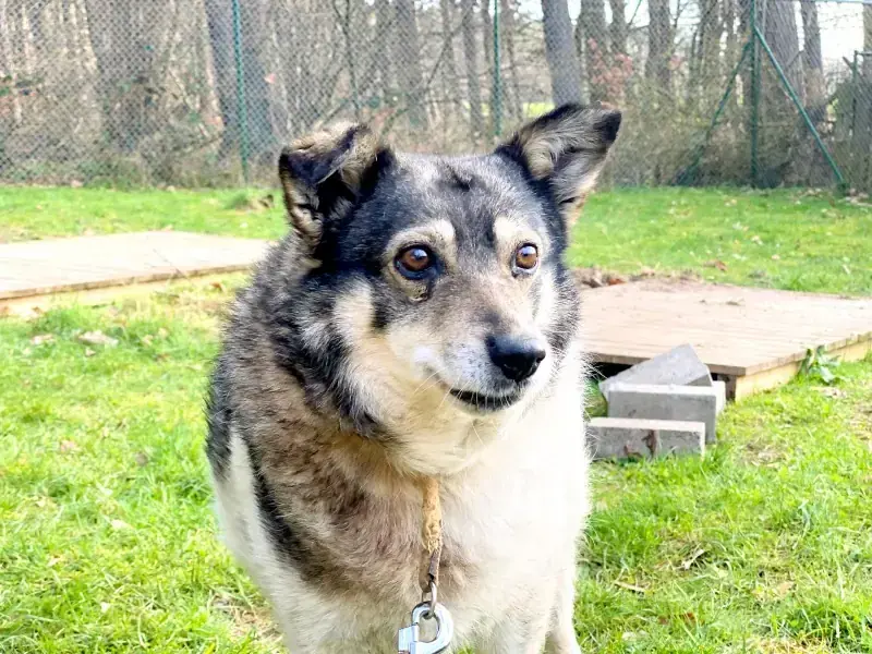Grace -  - Bild 12