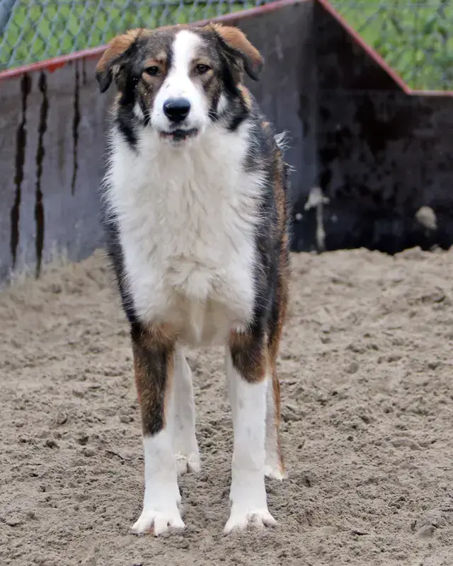 Maggie -  - Bild 2