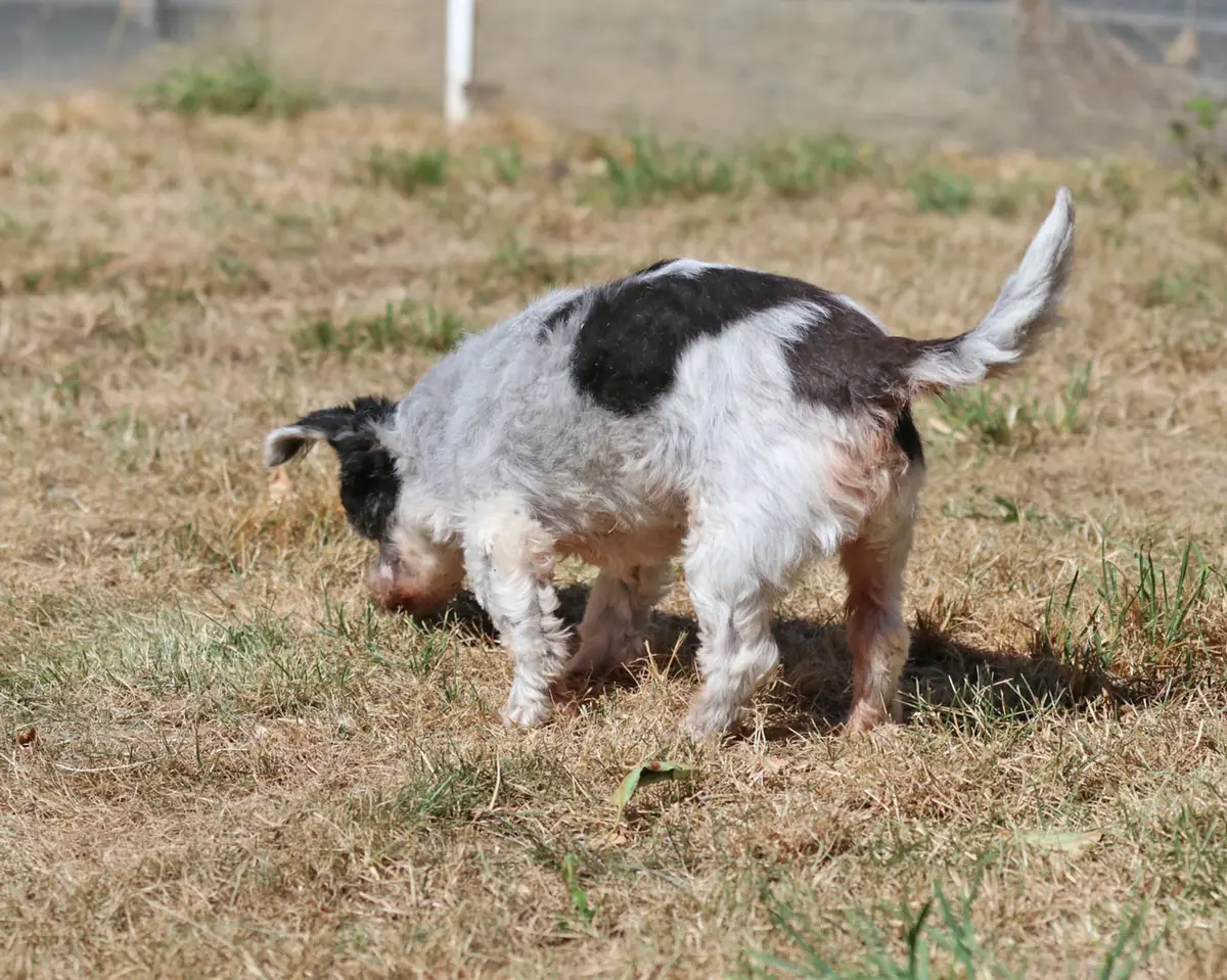Andi -  - Bild 6