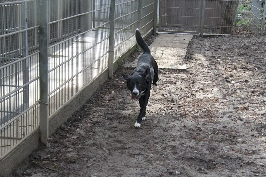 Marley -  - Bild 8