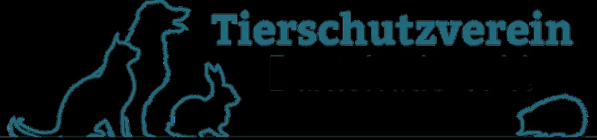 Heidi -  - Bild 1