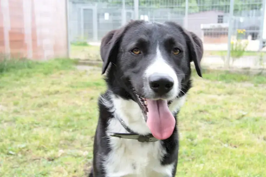 Marley -  - Bild 7