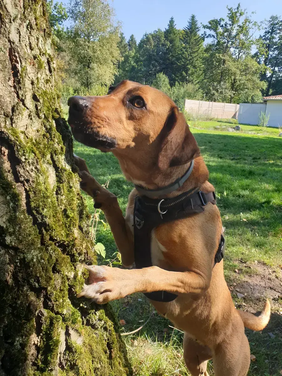 Penny -  - Bild 4