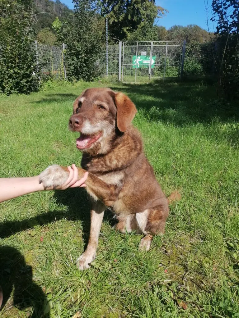Max -  - Bild 2