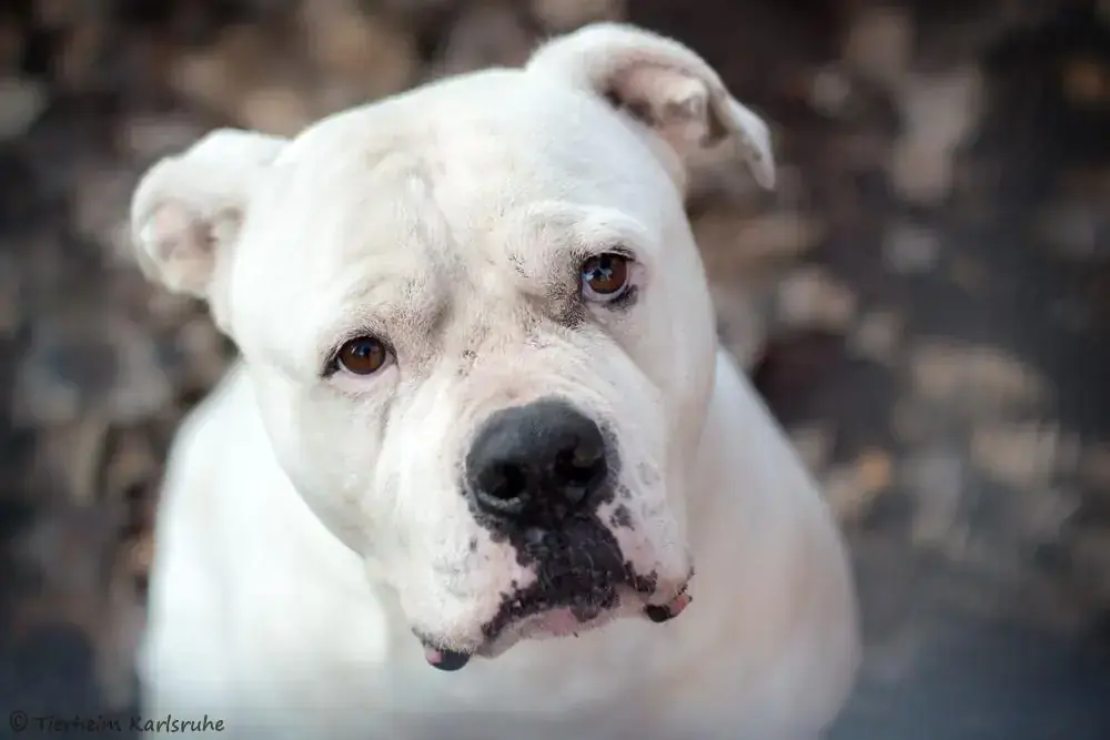 Zeus -  - Bild 1