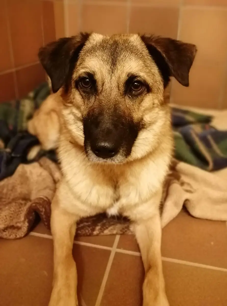 Barry -  - Bild 1